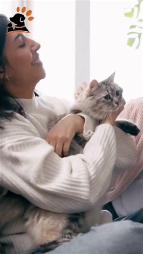 Why Cats Suddenly Explode Into Zoomies 😹⚡