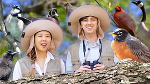 A Whimsical Song About the Joy of Watching Birds