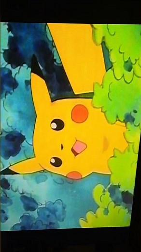 Pikachu's Goodbye vhs most of the Pikachu have their tails clipped