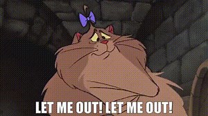 Let me out! Let me out!