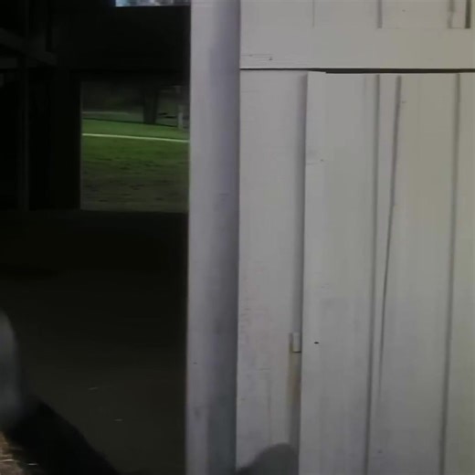 Weird Al's BIGGER & WEIRDER 2026 Tour is coming to a city near you! Don’t miss this incredible multimedia show with a super-sized 8-piece band and special guest Puddles Pity Party! Sign up now for presale access! | "Weird Al" Yankovic