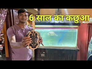 Red Eared Slider Turtle | Singapori Kachua | Turtle Care | Turtle Food
