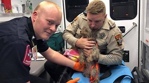 New pet oxygen masks help first responders save dogs from house fire