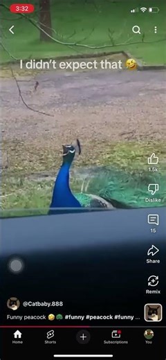 Peacook Sounds at Car