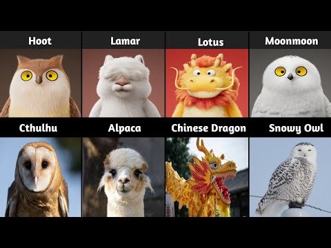 Big-Eyed Animals 👀 | Cute Animals with the Biggest Eyes