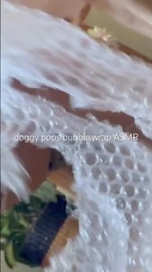 Doggy pops buuble wrap #bubblewrapmurah #poppingasmr #squishypackage #satisfying #relax