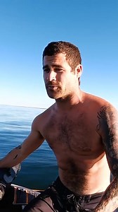 1.4K views · 18 reactions | extremely venomous sea snakes breeding, the female once pregnant will give live birth not lay eggs something I’d love to see one day | Brodiemoss | Facebook