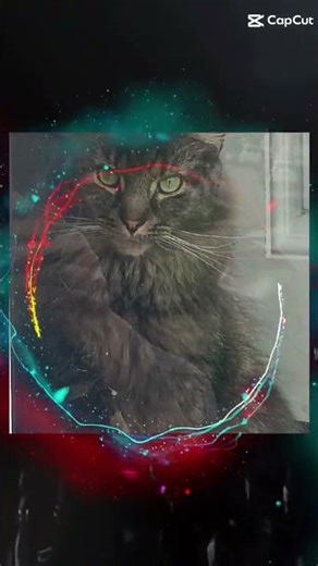 perfect yet beautiful