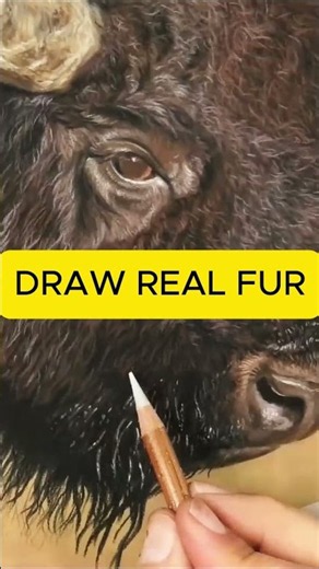 Drawing fur with pastels and panpastels