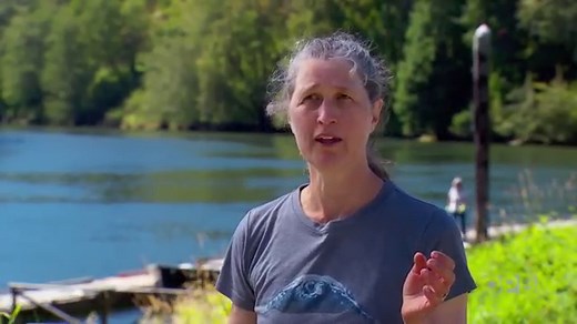 Green crabs are invading the Pacific Northwest coast | Oregon Field Guide