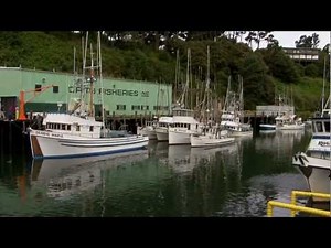 A True Fish Tale: Fort Bragg Now