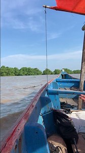 Menuju spot mancing di muara #fishing #mancing