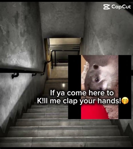 If you come here to kill me, clap your hands ￼