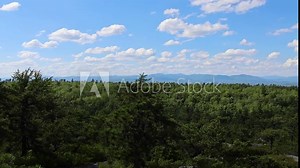 panning across catskill mountains forest from minnewaska state park (beautiful blue mountain vista overlook view with pine trees) hiking in shawangunks gunks hills