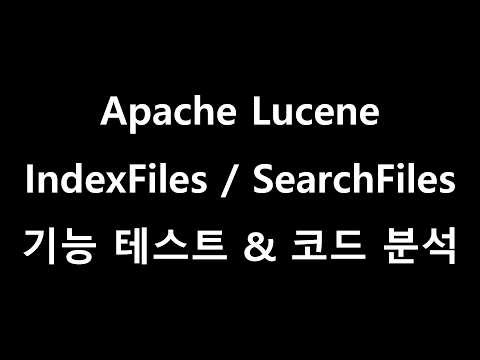 Apache Lucene Demo 기능 테스트 & 코드 분석