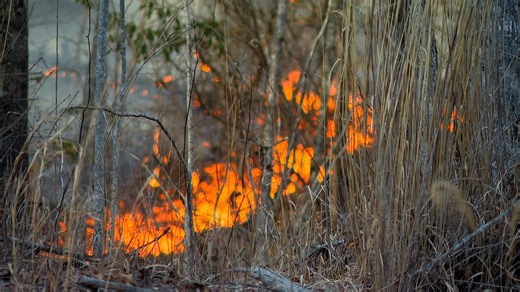 Broad River fire reaches 15 acres, 90% containment; burn ban remains in Buncombe County