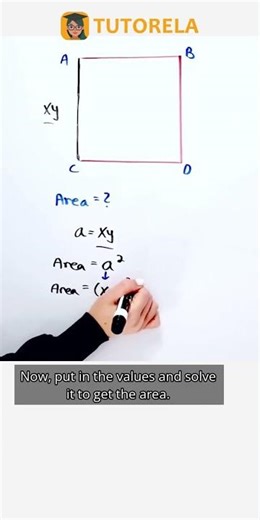 Finding the Area of a Square: ABCD Vertices Explained #Math #SquareFor9thGrade #AreaOfTheSquare