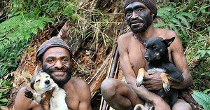 Nature:Dogs That Changed the World (Part 2) - Preview Season 25 Episode 12