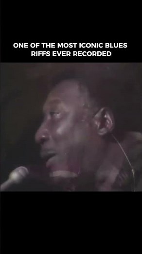 Muddy Waters performing "Hoochie Coochie Man" live🎸