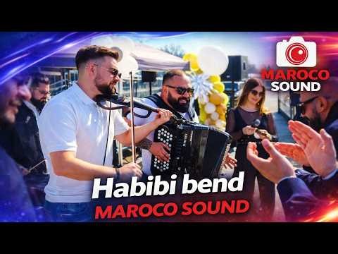 HABIBI BEND - MIX ZA VESELJE (BIBIJAKA VLASKO POLJE 2026) 4K