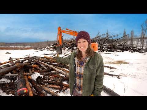 We Almost Burnt This Pile Of Logs But…