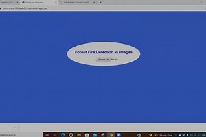 Forest Fire Detection