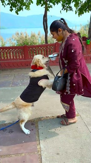 दीदी ने कैसे उल्लू बनाया मेरे डॉगी को😱 #funnydogs #shorts