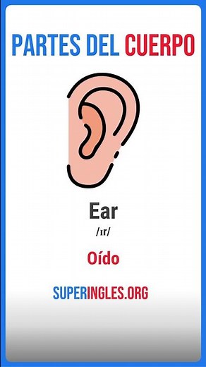 Partes Del Cuerpo en Inglés (Con Pronunciación)