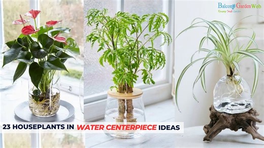 How to create gorgeous centerpieces with houseplants in water