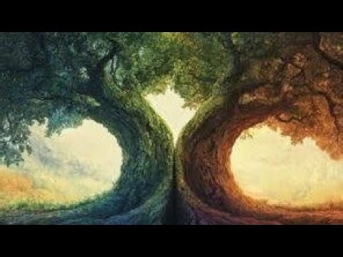 How Complementing Others can Change your Life | Awaken |