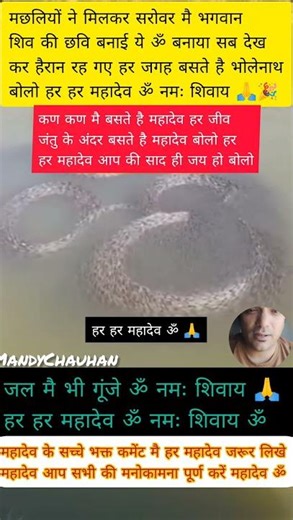 मछलियों ने पानी में बनाया ॐ🙏😱#om #mahadev #radhakund #shiv #radhakrishna
