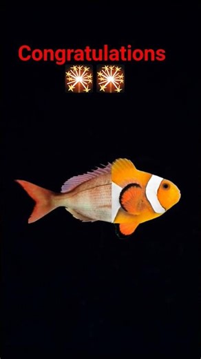 #complete #the#fish🐟🐟🐠