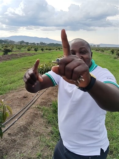 Growspeed Foliar: Boost Your Crop Yields in Kenya