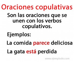 Oraciones Con Verbos Copulativos Sin Atributo