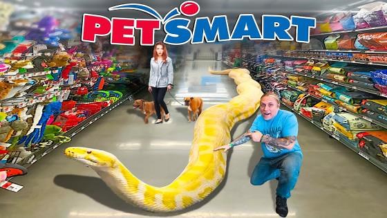 Taking my giant snake to PetSmart