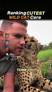 Ranking CUTEST WILD CAT Core🐯🐾 #cat