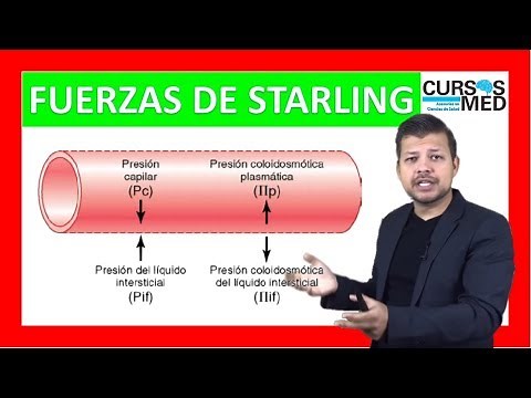 Starling and Edema Forces Explained Easily ✅.