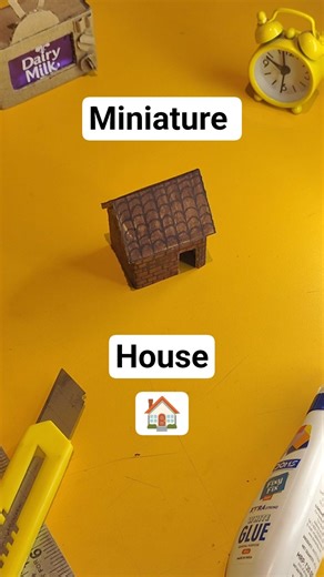 Cardboard house‼️