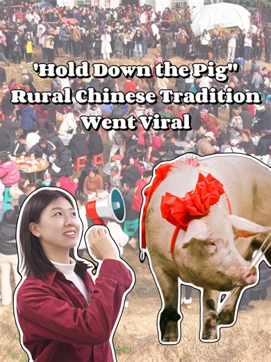 A rural banquet in China recently went viral after a young woman asked online for help to “hold down the pig,” a term that refers to restraining a pig during slaughter. In rural China, slaughtering pigs before Chinese New Year is a long-standing tradition. Because a pig can weigh over 100 kilograms, neighbors help each other to get the job done. Once the work is over, everyone sits down to eat together. This thank-you meal, often centered on pork soup, is known as “杀猪宴,” or a “pig-slaughter feas