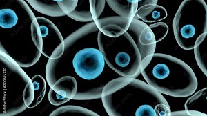 3D rendered Animation of moving living cells under the microscope. Stock Video