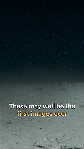 Exploring the Hidden Depths of Lake Traunsee #shorts #lakelife