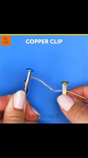 Don’t Miss These Fun Science Tricks or You’ll Miss a Lot!