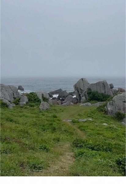 青々とした芝生と岩肌で成り立った小道が素敵です。 青森県種差海岸 #街歩き #1人旅 #おひとり様 #癒し #風景