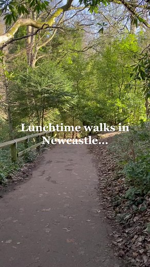 A new bit of Jesmond Dene appears each time we visit #newcastle #walk #outdoors #jesmond #freethingstodo #weekendplans