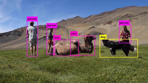 YOLOv3 实时目标检测