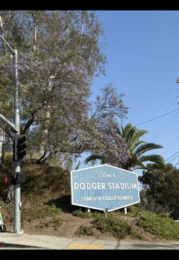 @Los Angeles Dodgers put me in coach, I even have will smith already catching🫶🥳 #weneedpitchers #baseball #dodgermom