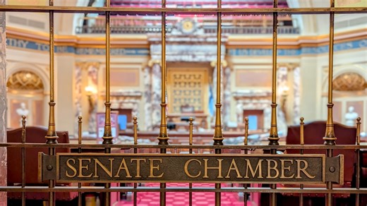 MN Senate approves gun violence prevention package