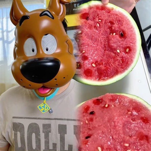 MY DOG ATE MY HOMEWORK #shorts