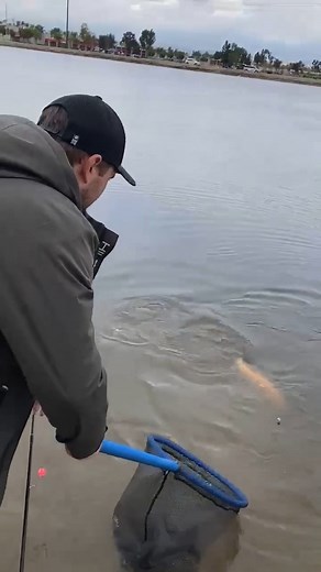 @ed_zamora Trout Fishing - Part 2 Shop Promar & Ahi USA at promarahi.com #troutfishing #troutfish #trout #edzamora #fishing #fishingfriends #fishingbuddy | Promar & Ahi USA