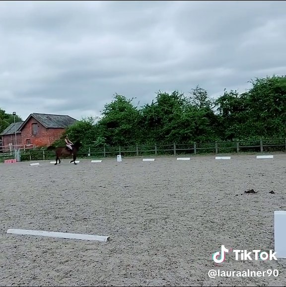 Meadows’ Successful Prelim Dressage Practice Run